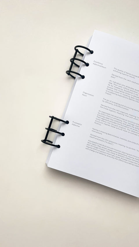 Planner Rings | 25mm